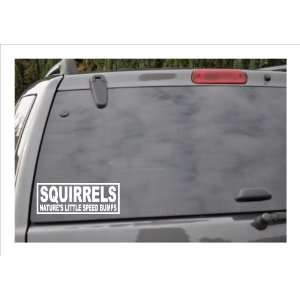  SQUIRRELSNATURES LITTLE SPEED BUMPS  window decal 