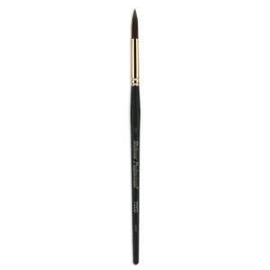   Quiller Water Media Brush Series 7000 Round 24 Arts, Crafts & Sewing