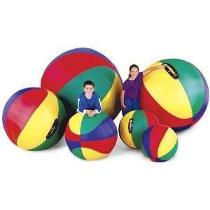  Everrich EVC 0040 Cage Ball   24 Inch: Toys & Games