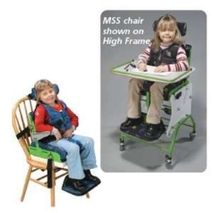  MSS Tilt and Recline Chair MSS Booster Kit: Health 