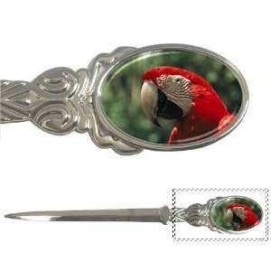  Macaw Parrot Letter Opener: Office Products