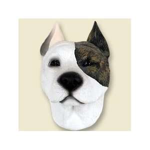  Pit Bull Terrier Brindle Doogie Head: Everything Else