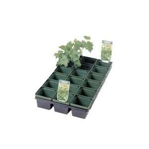  Carrying Tray for 4 Square Pots 