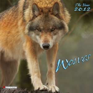 Wolves 2012 Wall Calendar