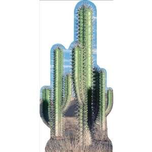  Cactus Pair Lifesized Standup: Toys & Games