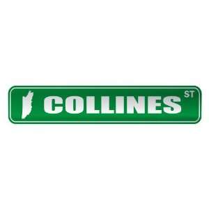   COLLINES ST  STREET SIGN CITY BENIN: Home Improvement