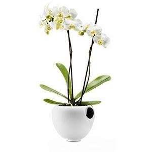 orchid pot by eva solo Patio, Lawn & Garden