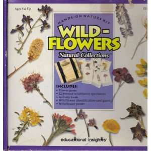  Vintage Educational Insights Wild Flowers Hands on Nature 