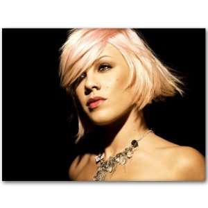  Pink pop singer music sticker decal 6 x 4 Everything 