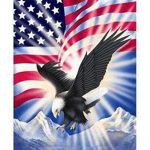 Plush Queen Size Blanket USA Flag Eagle 79 x 95  
