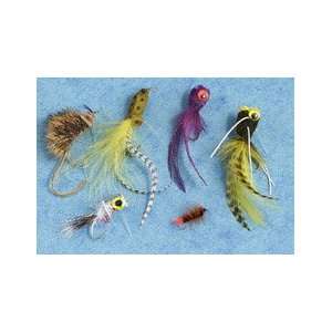  Essential Western Trout Assortment