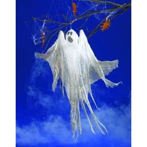   Ghastly Ghost Decoration   Halloween Light Up Ghost: Toys & Games