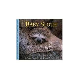  Baby Sloth (Nature Babies) Explore similar items