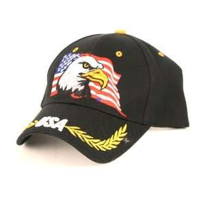   /Hat with Bald Eagle and American Flag, Gold Wreaths: Everything Else
