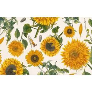  Sunflowers Gift Wrap Paper: Office Products