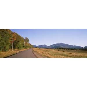 Trees on One Side of Loj Road, Sawtooth Mountain, Lake Placid, New 