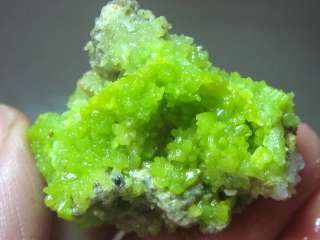 Green Pyromorphite Mineral Crystal Specimen  