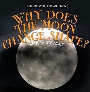   Shape? by Melissa Stewart, Cavendish, Marshall Corporation  Hardcover