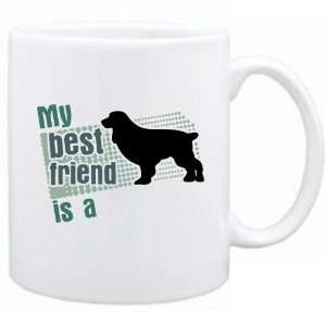 New  My Best Friend Is A Boykin Spaniel  Mug Dog 