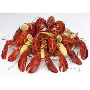  White Mountain Puzzles Lobster Feast Toys & Games