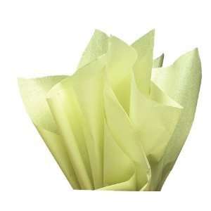  Light Green Wrap Tissue Paper 20 X 30   48 Sheets 