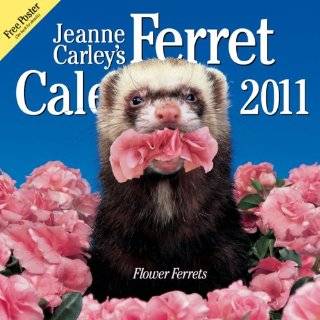  2011 Jeanne Carleys Ferret, Flower Ferrets Calendar 