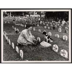   cemeteries,tombs,owners,dogs,San Francisco,California,CA,1962 Home