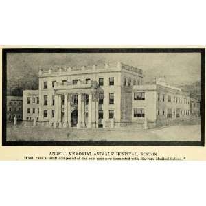  1914 Print Angell Animal Hospital Boston Vets Harvard 