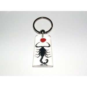  Clear Real Insect Keychain   Black Scorpion with Lucky Red 
