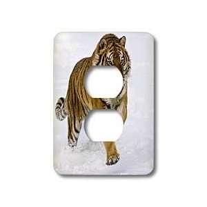 VWPics Tiger   Siberian tiger charges through the snow   Light Switch 