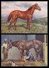 horse racehorse lot of two 80 year old vintage prints