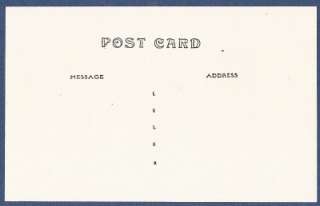  Vintage Halloween Postcard~ Witches New Address ~ Black & White  