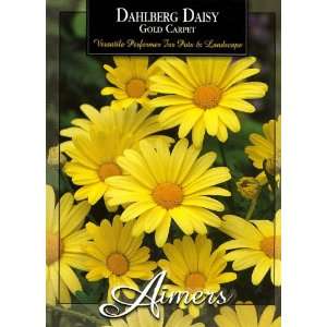  Aimers 3202 Dahlberg Daisy Gold Carpet Seed Packet Patio 