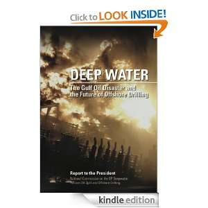 Deep Water: The Gulf Oil Disaster and the Future of Offshore Drilling 