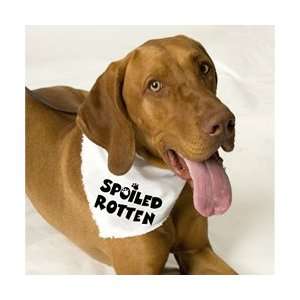  Spoiled Rotten Dog Bandana: Pet Supplies
