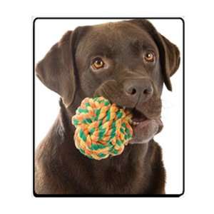   Labrador Retriever Dog with Toy Computer Mouse Pad: Office Products