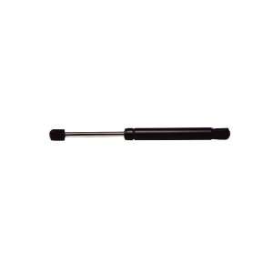   Universal 18.50 Extended Length Lift Support, Pack of 1 Automotive