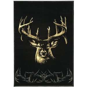  Moment of Truth Rug From the Designer Collection (22 X 31 