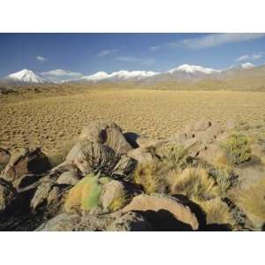  Desert and Snow Capped Andes Beyond, San Pedro De Atacama Region 