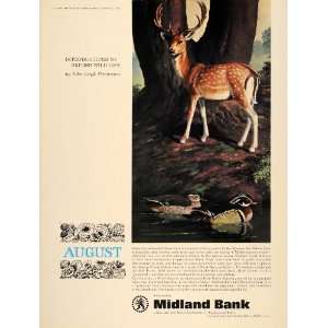   Leigh Pemberton Fallow Deer Duck   Original Print Ad
