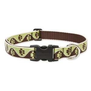  Mud Puppy   Lupine Adjustable Collars Large 1 in. x 18 in 