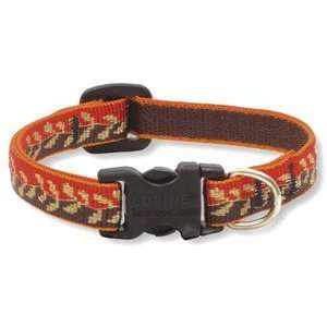  Gold Leaf   Lupine Adjustable Safety Collars for Cats   1 