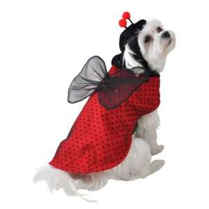  Anit Accessories Ladybug Dog Costume, 8 Inch