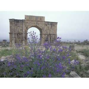  Ruins of Triumphal Arch in Ancient Roman city, Morocco Art 