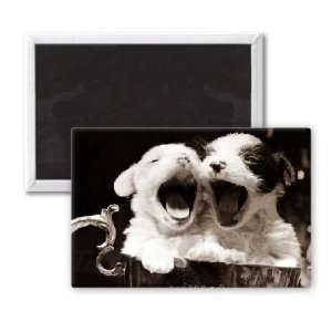  Two very tired puppies   3x2 inch Fridge Magnet   large 