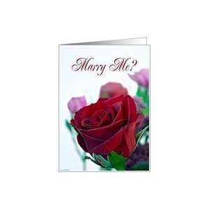  Marry Me? Classic single red rose Card Health & Personal 