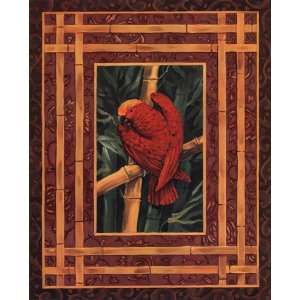  Crimson Parrot Finest LAMINATED Print Paul Brent 16x20 