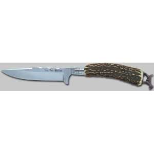   561910 Jack Russell Terrier Stag Hunting Knife