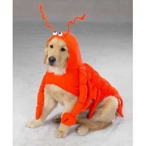  MEDIUM   LOBSTER PAWS   Dog Halloween Costume: Pet 