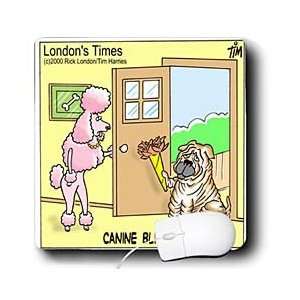  Londons Times Funny Dogs Cartoons   Canine Blind Date Shar 